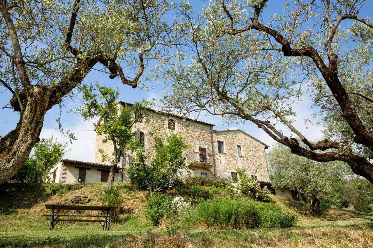 Villa Colle Di Rocco Limigiano Dış mekan fotoğraf