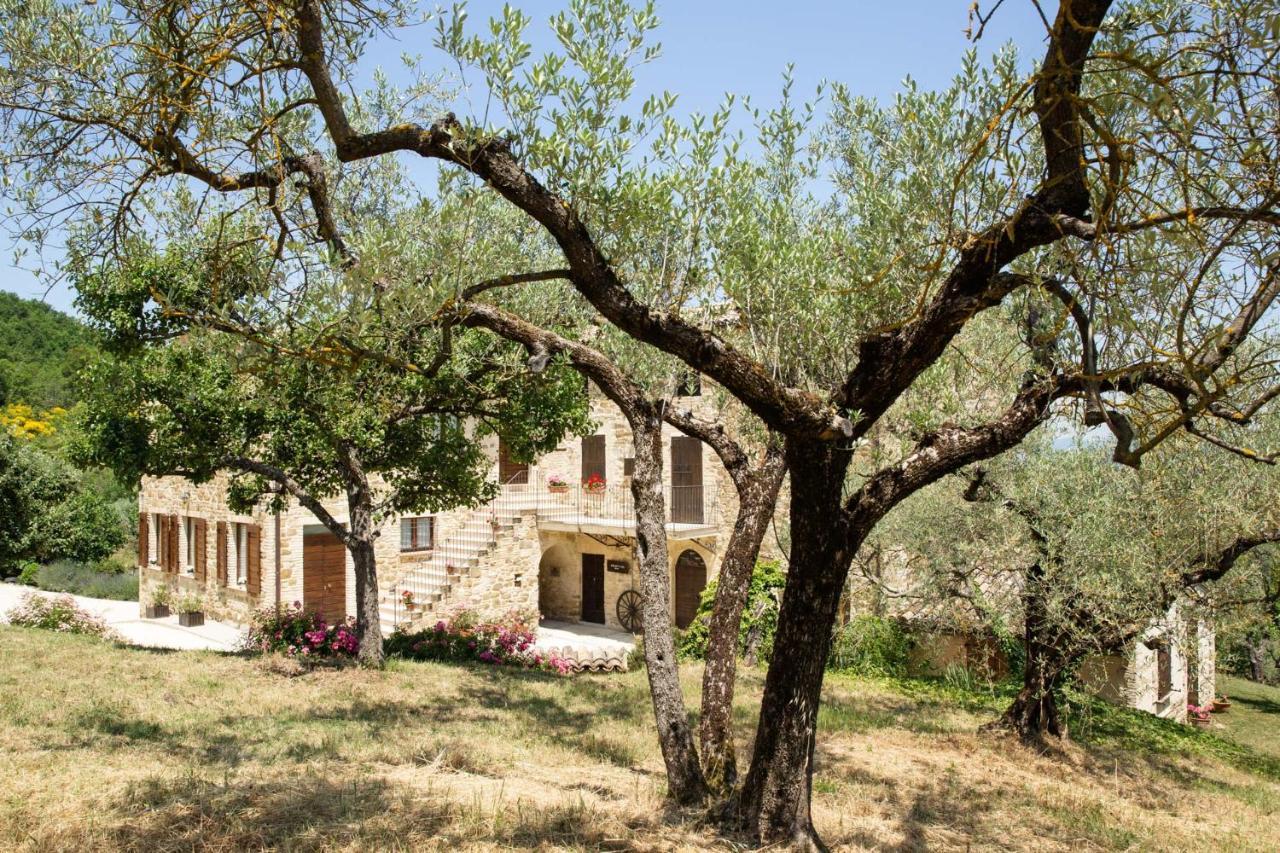 Villa Colle Di Rocco Limigiano Dış mekan fotoğraf