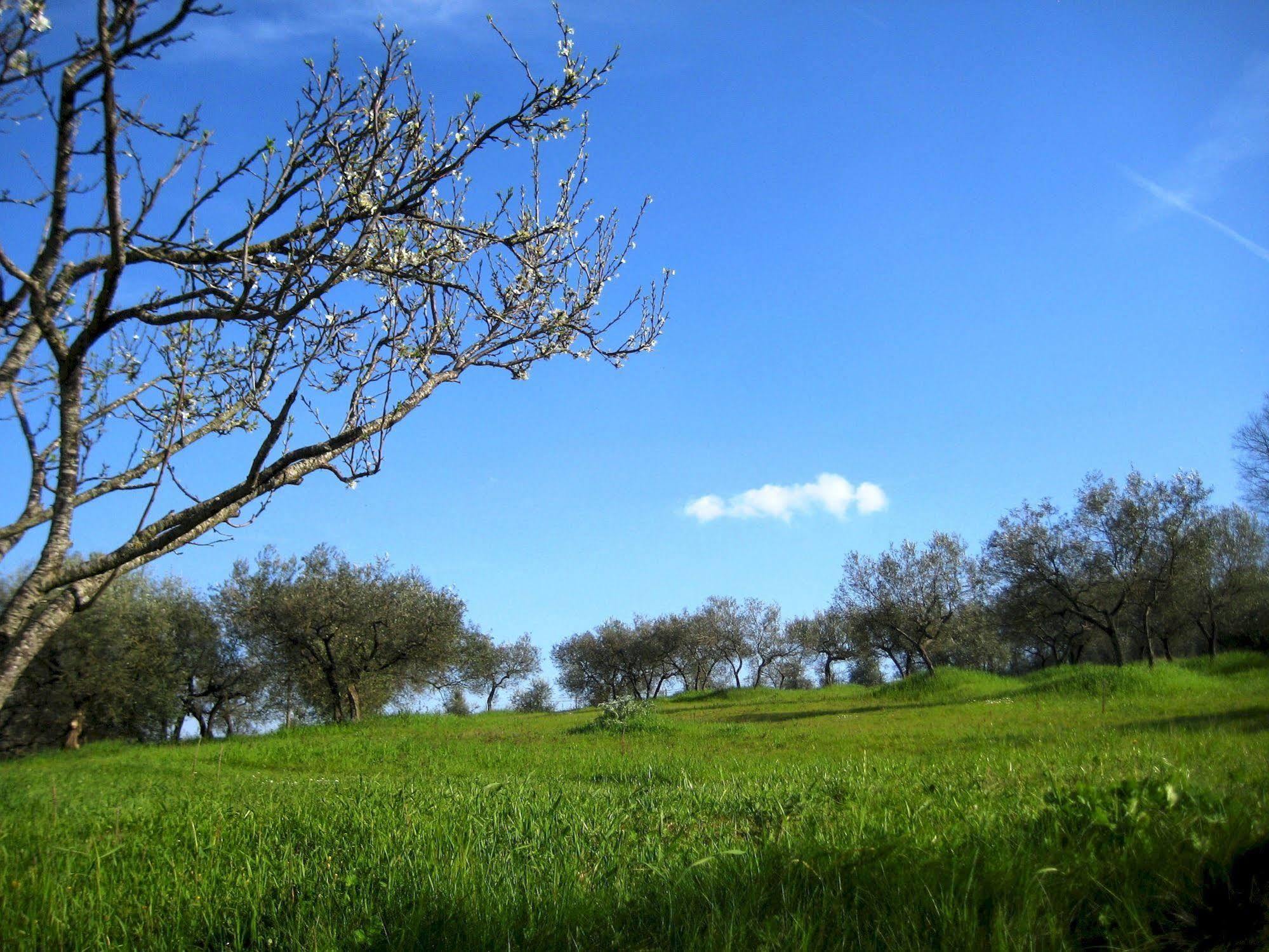 Villa Colle Di Rocco Limigiano Dış mekan fotoğraf